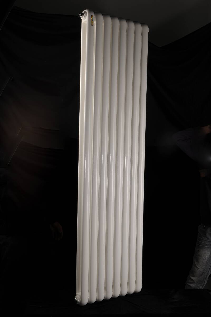 散热器十大品牌金旗舰钢制散热器十大品牌在整合先进品牌发展理念，带动我国散热器企业共同发展